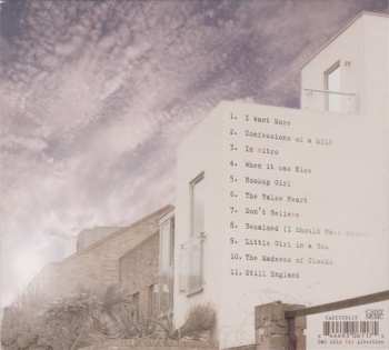 CD Viv Albertine: The Vermilion Border