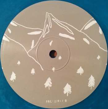 LP Vivian Girls: Share The Joy CLR | LTD