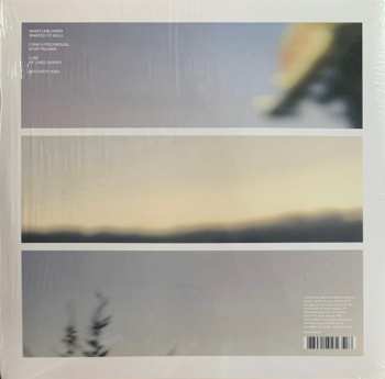 2LP Vladislav Delay: Whistleblower LTD