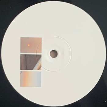 2LP Vladislav Delay: Whistleblower LTD