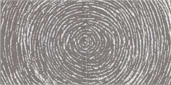 CD Void Of Vision: Children Of Chrome