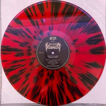 6LP/DVD/Caja Voïvod: Forgotten In Space DLX | LTD | CLR