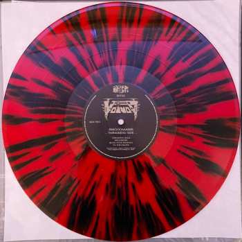 6LP/DVD/Caja Voïvod: Forgotten In Space DLX | LTD | CLR