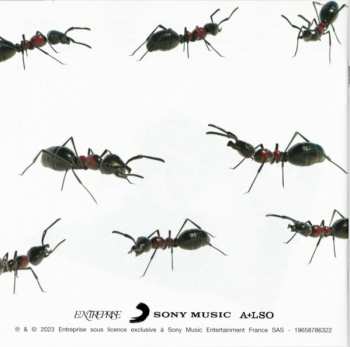 CD Voyou: Les Royaumes Minuscules