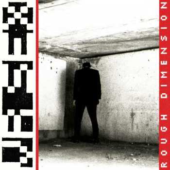 LP VR Sex: Rough Dimension