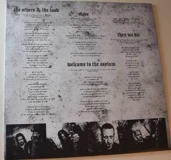 LP Vreid: V LTD | CLR