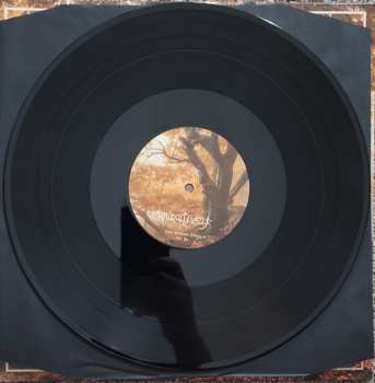 LP Waldgeflüster: Unter Bronzenen Kronen