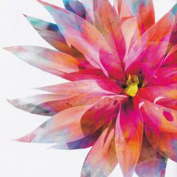 CD Walking On Cars: Colours