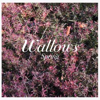 CD Wallows: Spring