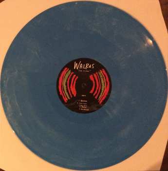 LP Walrus: Cool To Who LTD | CLR