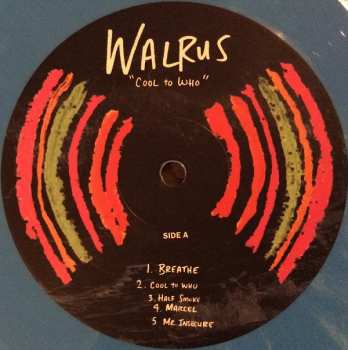 LP Walrus: Cool To Who LTD | CLR
