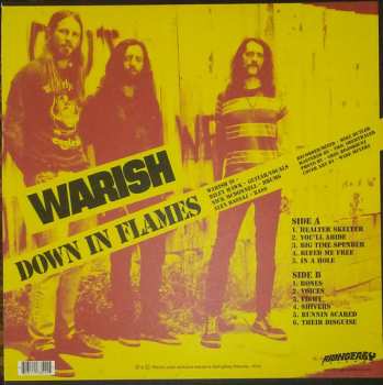 LP Warish: Down In Flames
