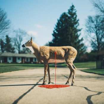 LP Wayne Graham: Bastion Ltd.