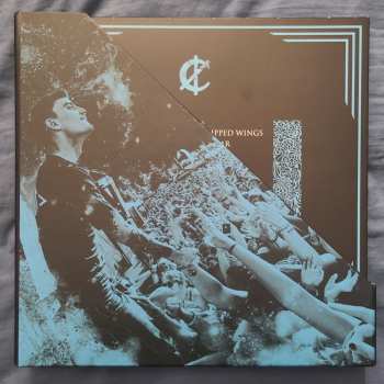 5LP/Caja We Came As Romans: WCAR VIP Vinyl Box Set LTD | CLR
