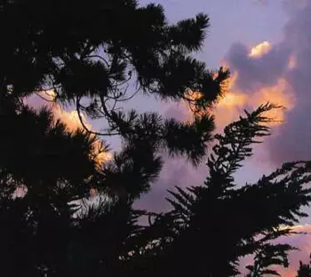 Liberation Von History