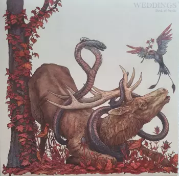 Weddings: Book Of Spells