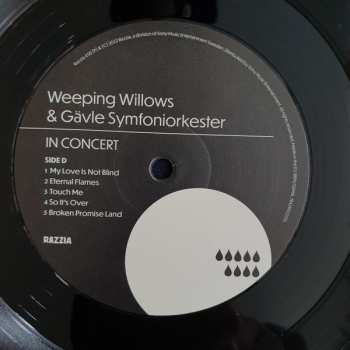 2LP Gävle Symfoniorkester: In Concert