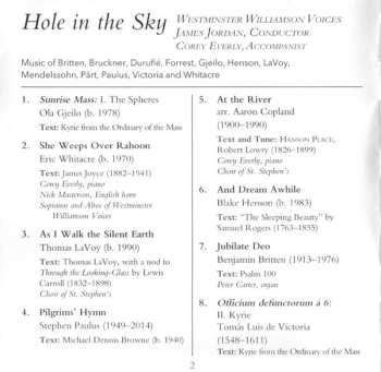 CD Westminster Williamson Voices: Hole In The Sky
