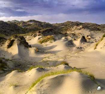 CD White Manna: Dune Worship