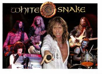 2CD/Caja Whitesnake: Good To Be Bad LTD