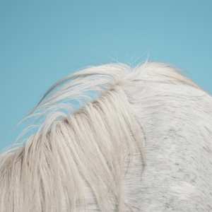 Album Widowspeak: All Yours
