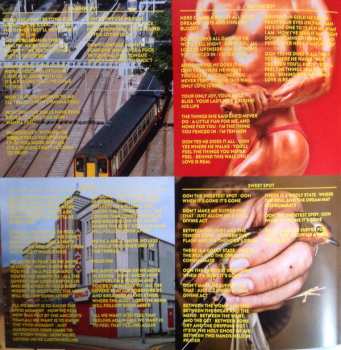 LP Wild Beasts: Present Tense