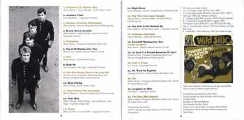 CD Wild Silk: Visions In A Plaster Sky: The Complete Recordings 1968-1969