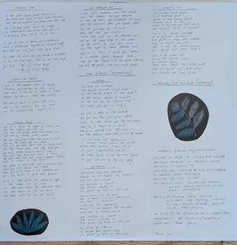 LP Will Johnson: Diamond City CLR | LTD