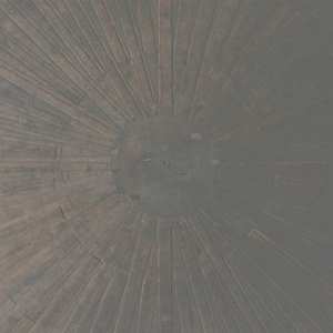 Album William Basinski: Selva Oscura