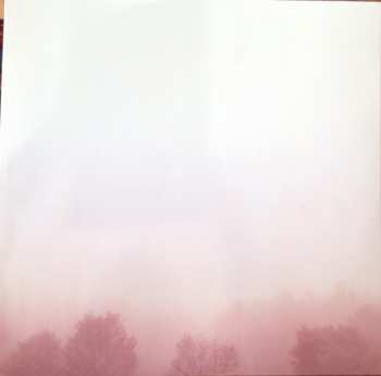 LP William Tyler: Modern Country