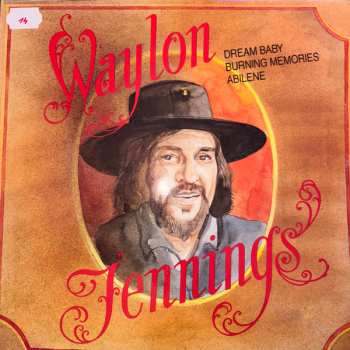 Album Willie Nelson: 20 Great Tracks