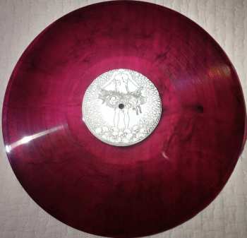 LP Winter: Into Darkness CLR