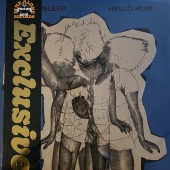 Album Wintersleep: Hello Hum