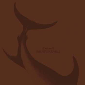 Album Witxes: Split