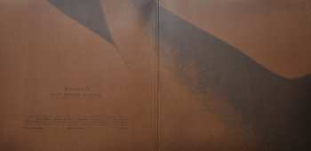 LP Witxes: Split