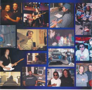 CD Wolf Mail: Solid Ground