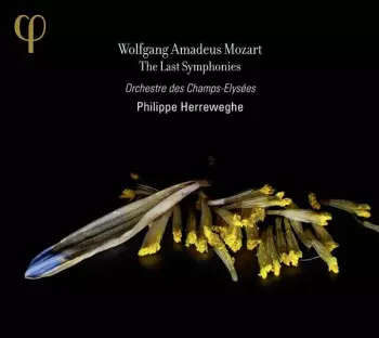 The Last Symphonies