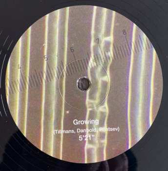 LP Wolfgang Tillmans: Life Guarding / Growing