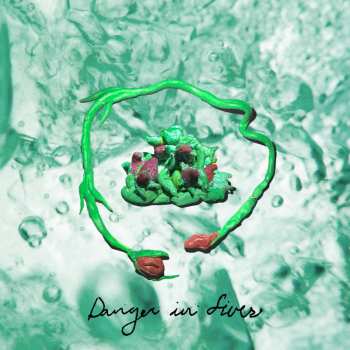 CD Wombo: Danger In Fives