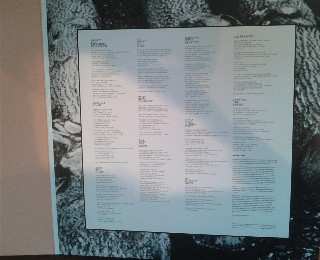 LP Wooden Saints: You Were The One That Volunteered NUM | LTD | CLR