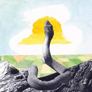 SP Woods: Cali In A Cup