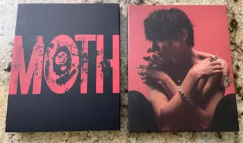 Moth