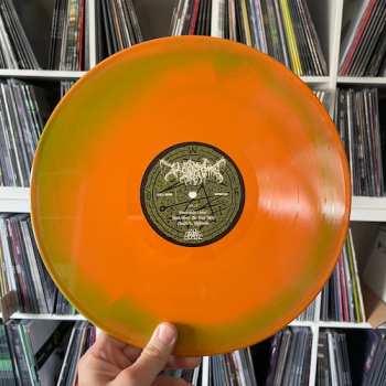 LP Worm: Foreverglade  LTD | CLR