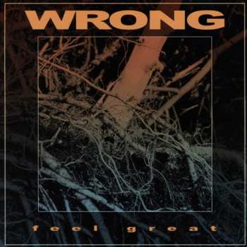 CD Wrong: Feel Great