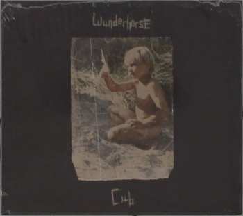 CD Wunderhorse: Cub