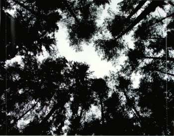 2CD Petr Štěpán: Zahrada Světel