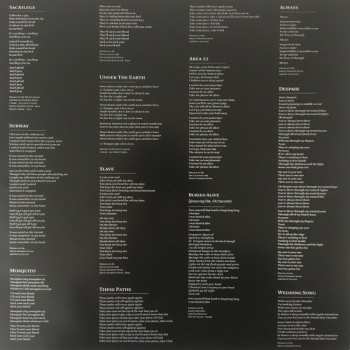 LP Yeah Yeah Yeahs: Mosquito