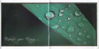 CD Yves Coignet: Buddhattitude - Freedom