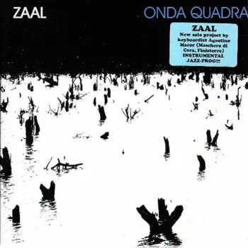 Zaal: Onda Quadra