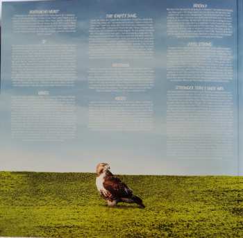 LP Zach Heckendorf: Hawk Talk 